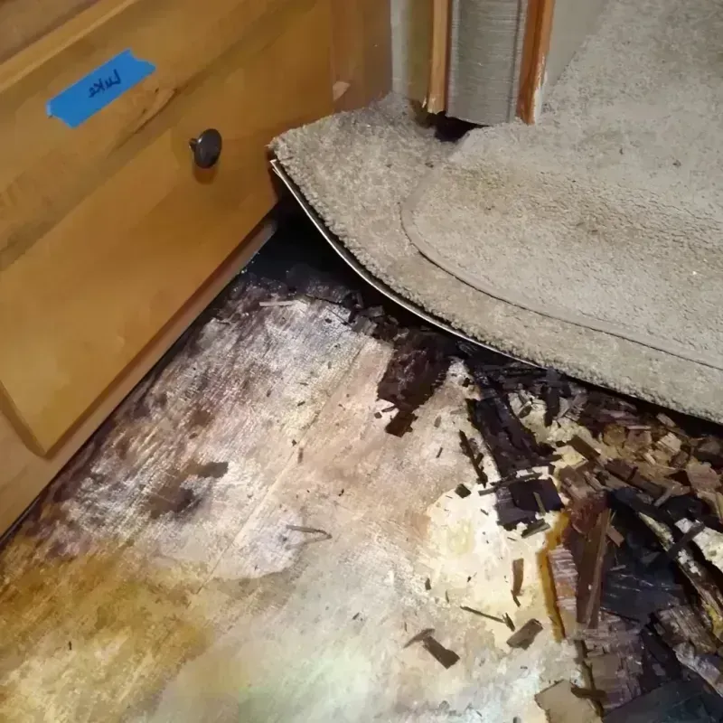 Wood Floor Water Damage in Woodmoor, CO